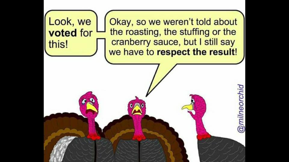 turkeys voting for christmas